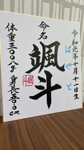 オーダー命名書 書道家・晃鳳【こうほう】